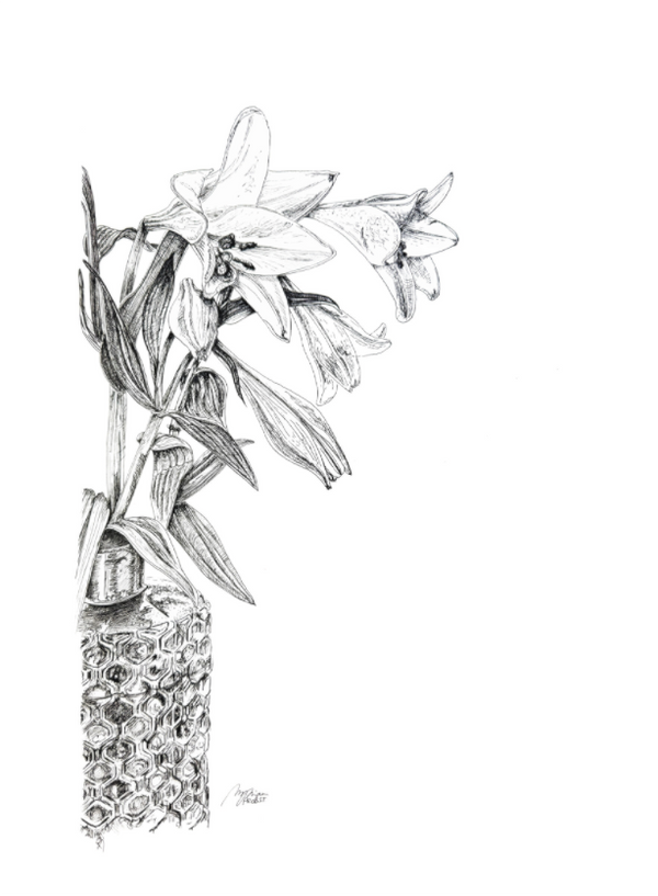 Grace Contained aus der Kollektion Lily in Lines