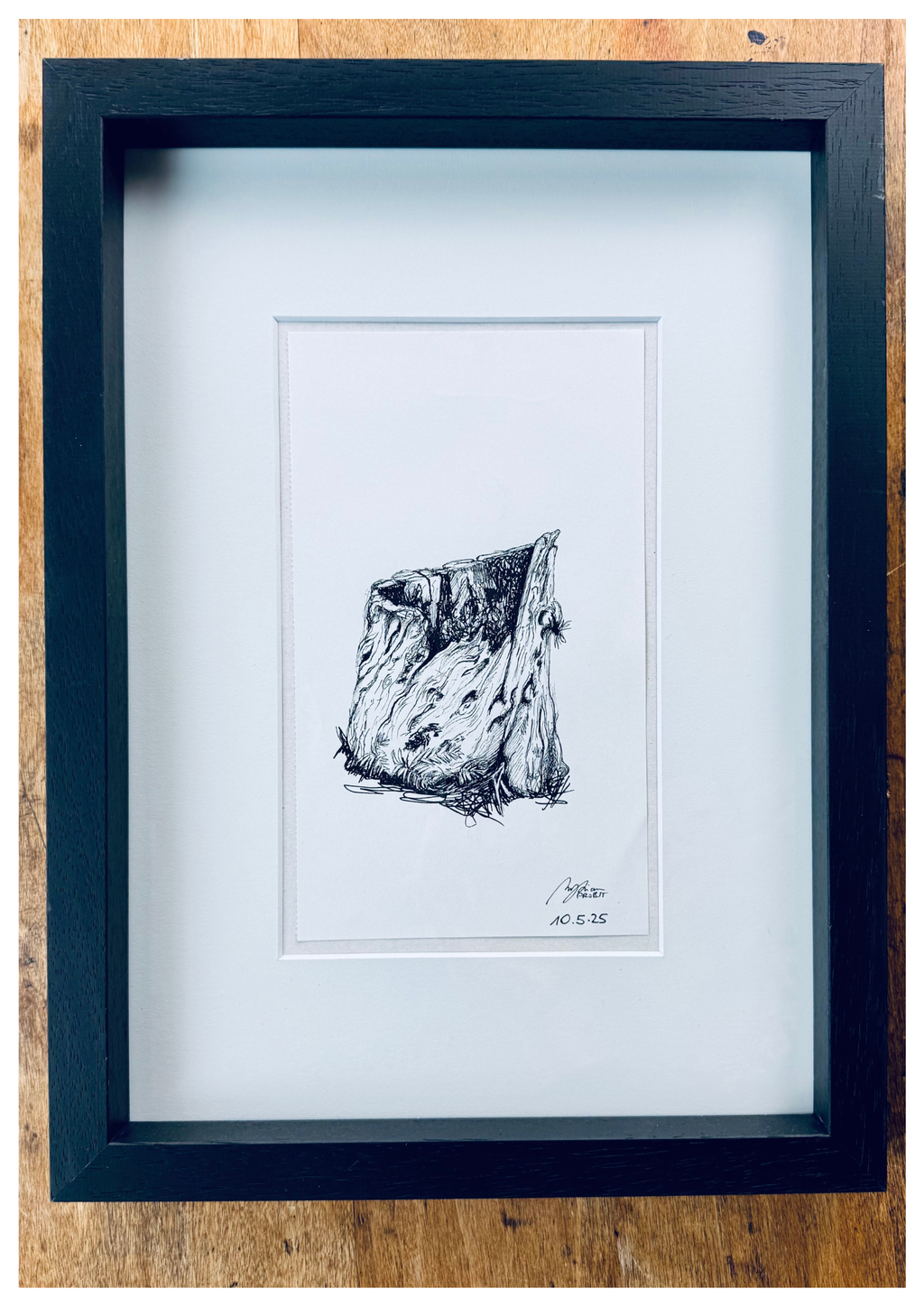 Still Woods "Rooted Silence - Verwurzelte Stille" | ORIGINAL Zeichnung im Passepartout-Rahmen