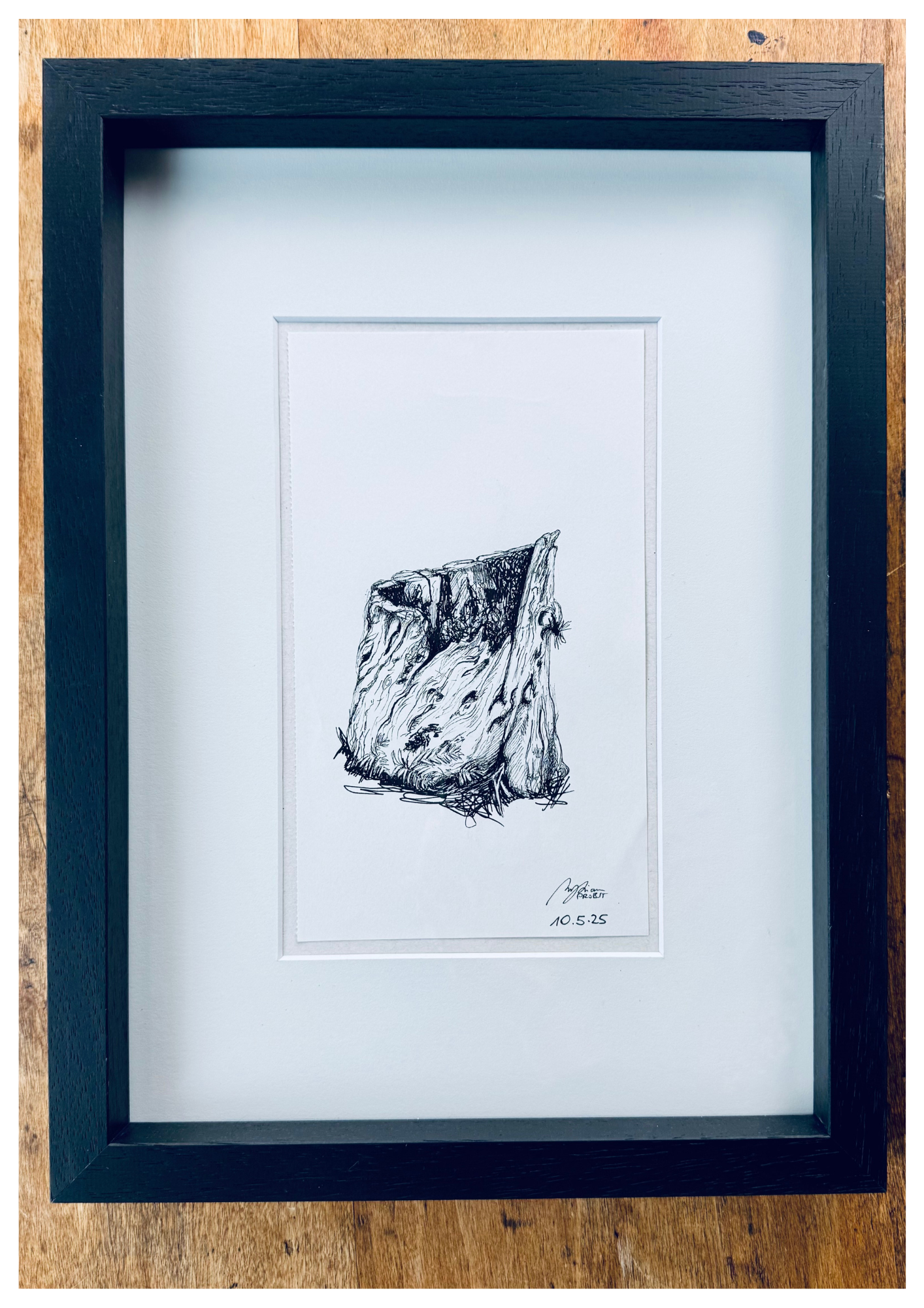 Still Woods "Rooted Silence - Verwurzelte Stille" | ORIGINAL Zeichnung im Passepartout-Rahmen