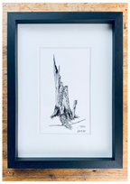 Still Woods „Ivy Afterstorm“ | ORIGINAL Zeichnung im Passepartout-Rahmen