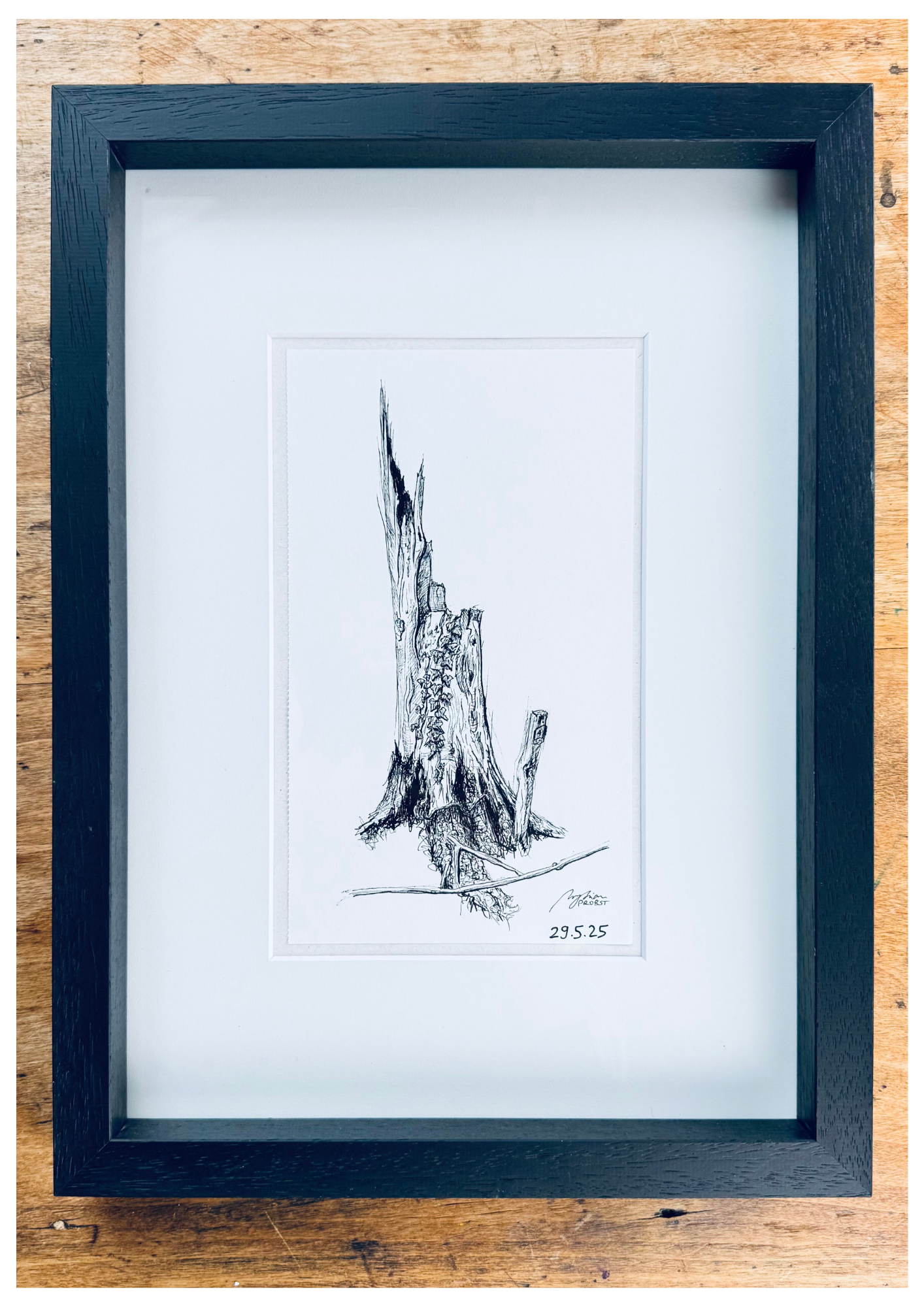 Still Woods „Ivy Afterstorm“ | ORIGINAL Zeichnung im Passepartout-Rahmen