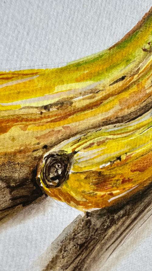 Bananen [28/31]