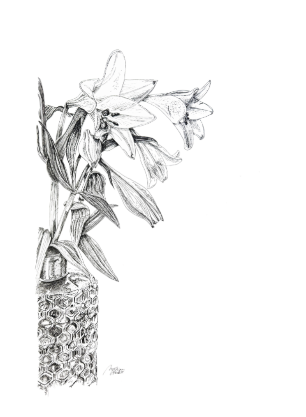 Grace Contained, Tuschezeichnung von Lilien in einer Vase