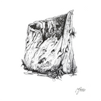 Main image Still Woods „Rooted Silence - Verwurzelte Stille“ 4x4 | Fine‑Art‑Print