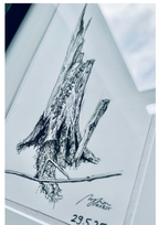 Still Woods „Ivy Afterstorm“ | ORIGINAL Zeichnung im Passepartout-Rahmen