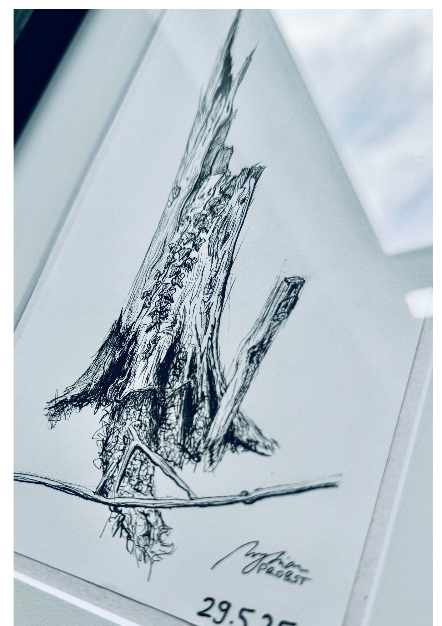 Still Woods „Ivy Afterstorm“ | ORIGINAL Zeichnung im Passepartout-Rahmen