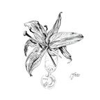 Main image Lily in Lines "Lingering Lily - Verweilende Lilie" | 4x4 Fine-Art-Print
