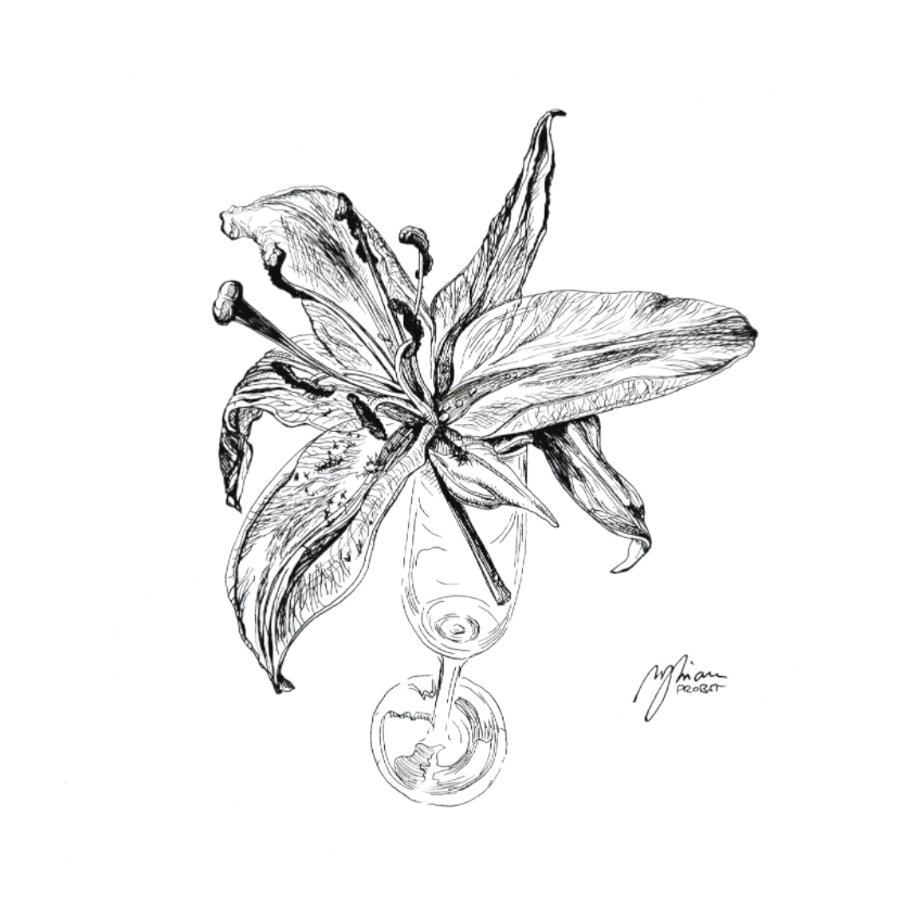 Main image Lily in Lines "Lingering Lily - Verweilende Lilie" | 4x4 Fine-Art-Print