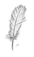 Main image Feather | Fine‑Art‑Print