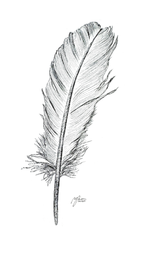 Main image Feather | Fine‑Art‑Print