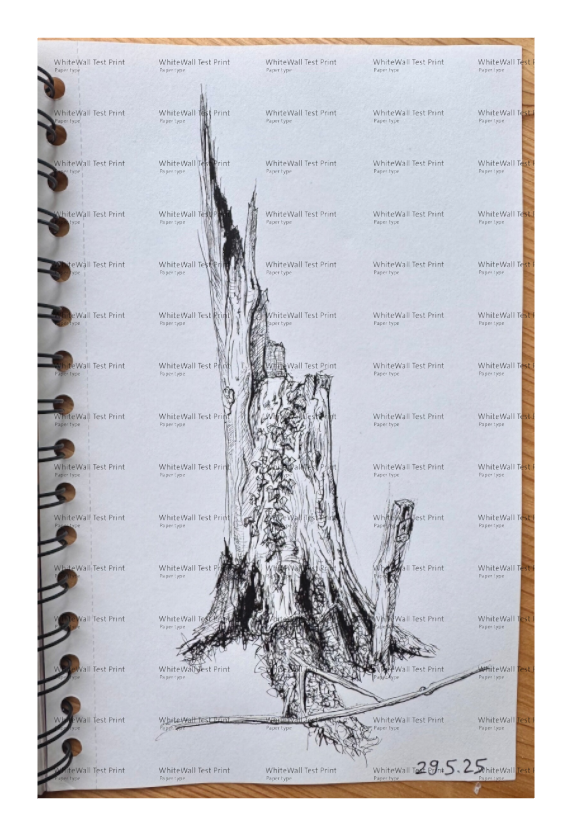Still Woods „Ivy Afterstorm“ – Fine‑Art‑Print
