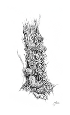 Main image Still Woods „Still Ascent“ – Fine‑Art‑Print