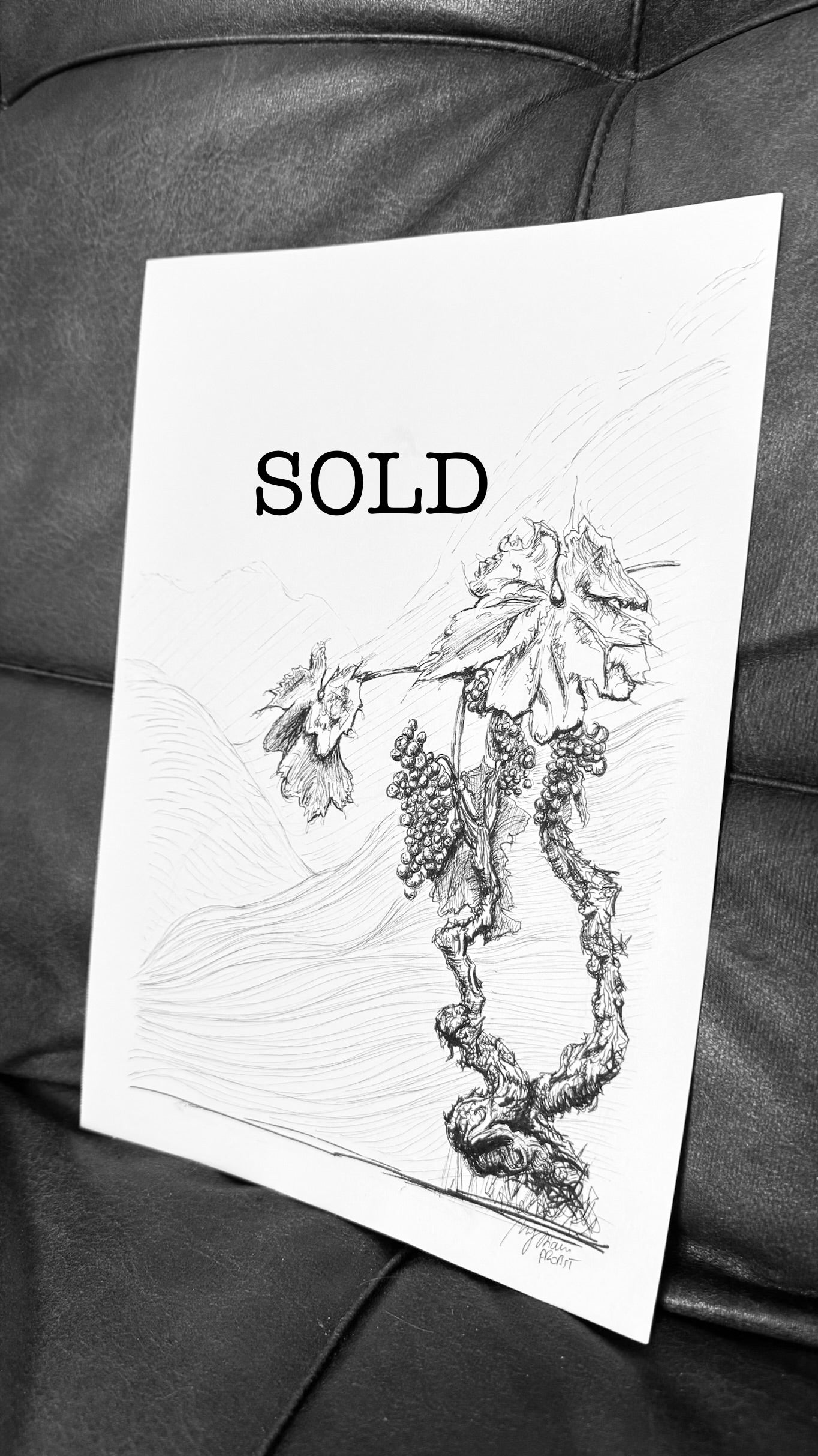 Weinrebe [3/31] Verkauft