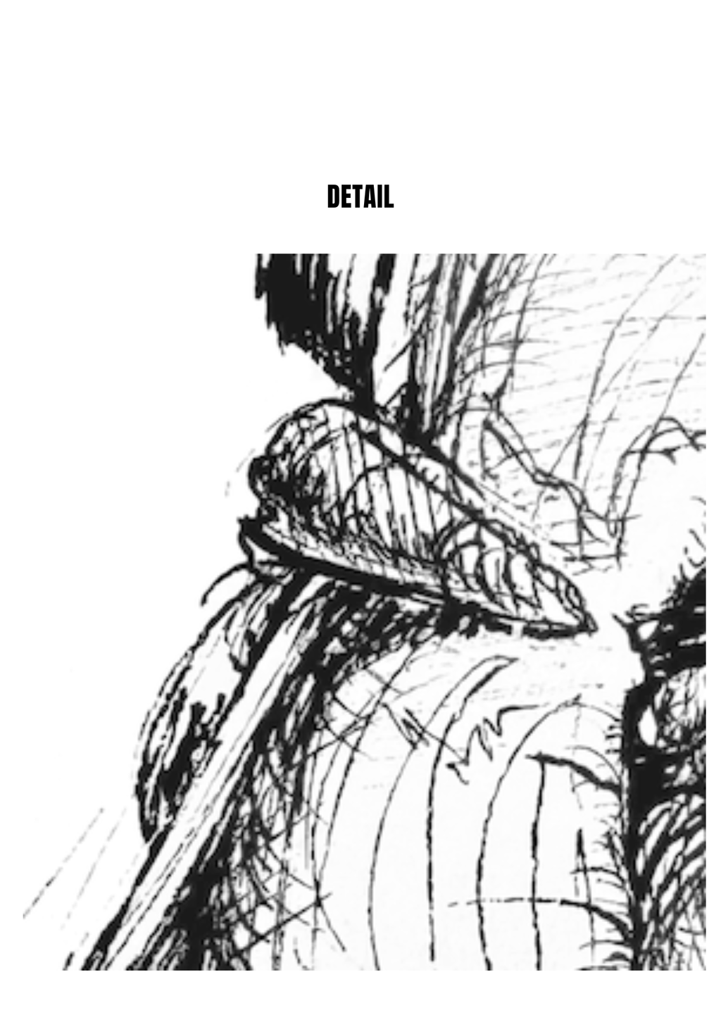 Lily in Lines "First Unfurl - Erstes Entfalten" | ORIGINAL Zeichnung im Passepartout-Rahmen