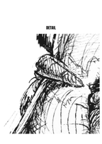 Lily in Lines "First Unfurl - Erstes Entfalten" | Fine-Art-Print