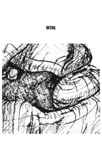 Lily in Lines "First Unfurl - Erstes Entfalten" | ORIGINAL Zeichnung im Passepartout-Rahmen