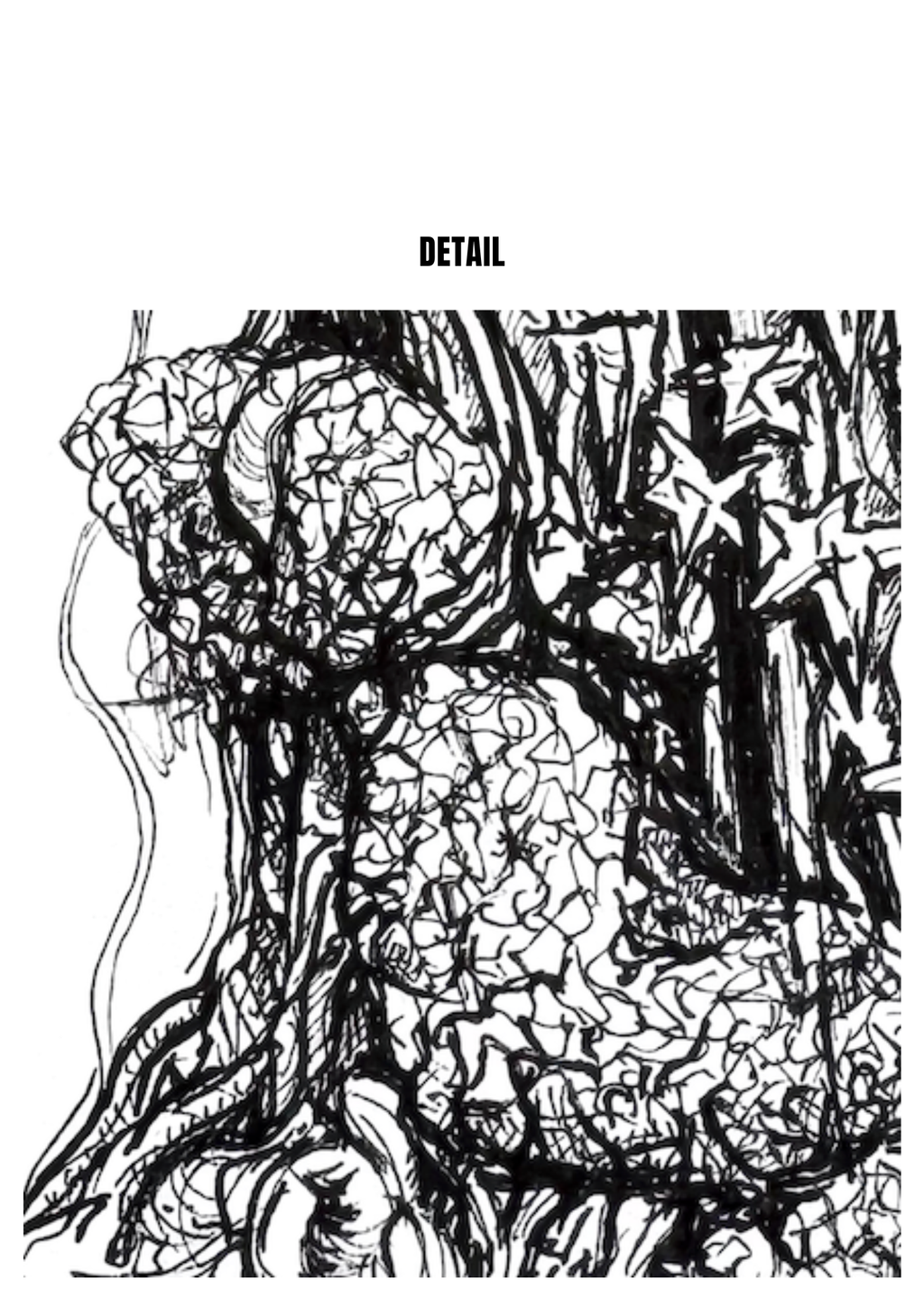 Still Woods „Still Ascent“ | Fine‑Art‑Print