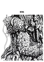 Still Woods „Still Ascent“ | Fine‑Art‑Print