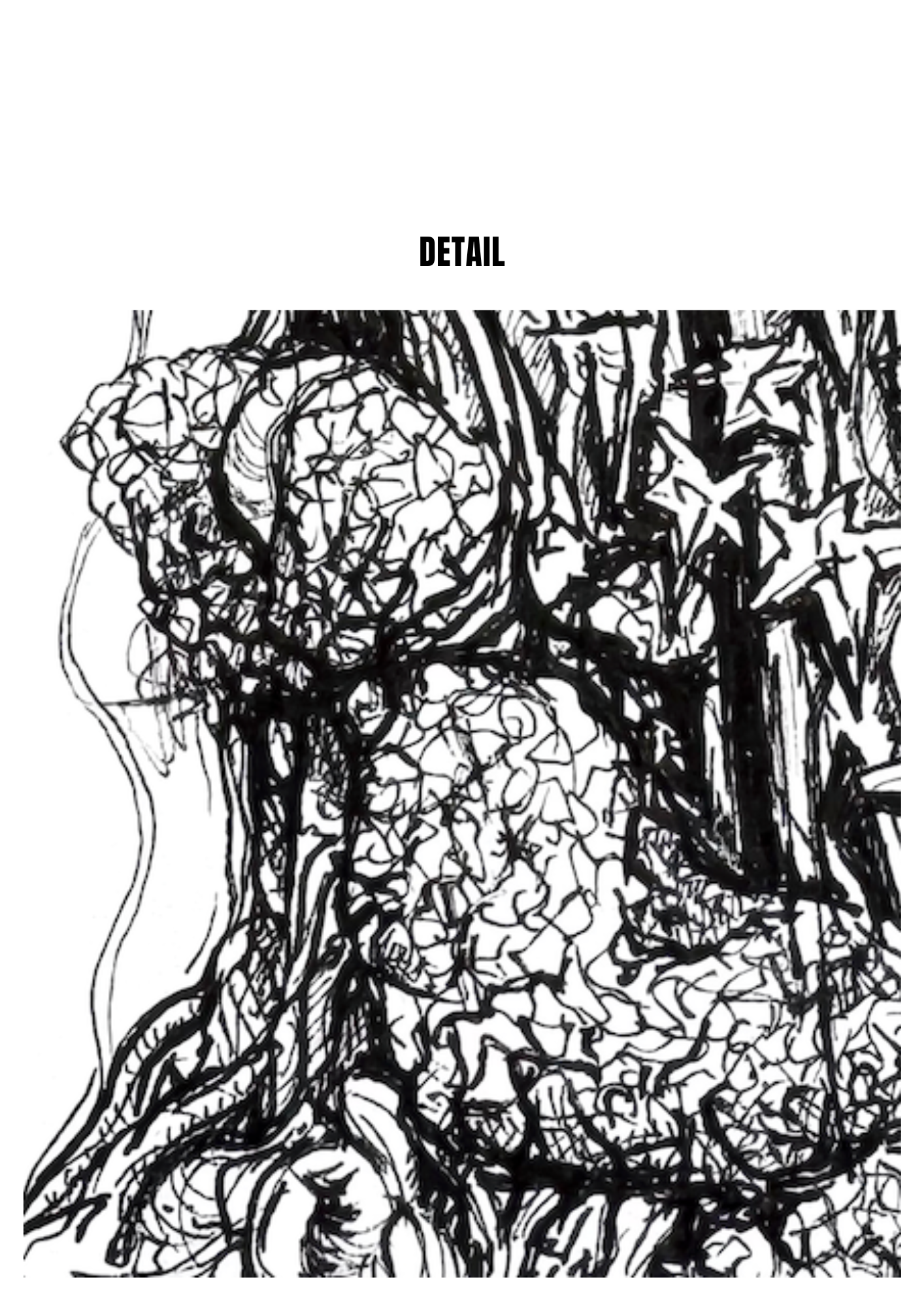 Still Woods „Still Ascent“ | Fine‑Art‑Print