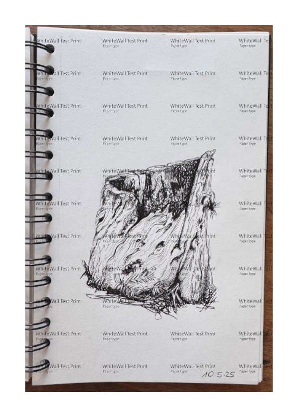 Still Woods „Rooted Silence“ – Fine‑Art‑Print