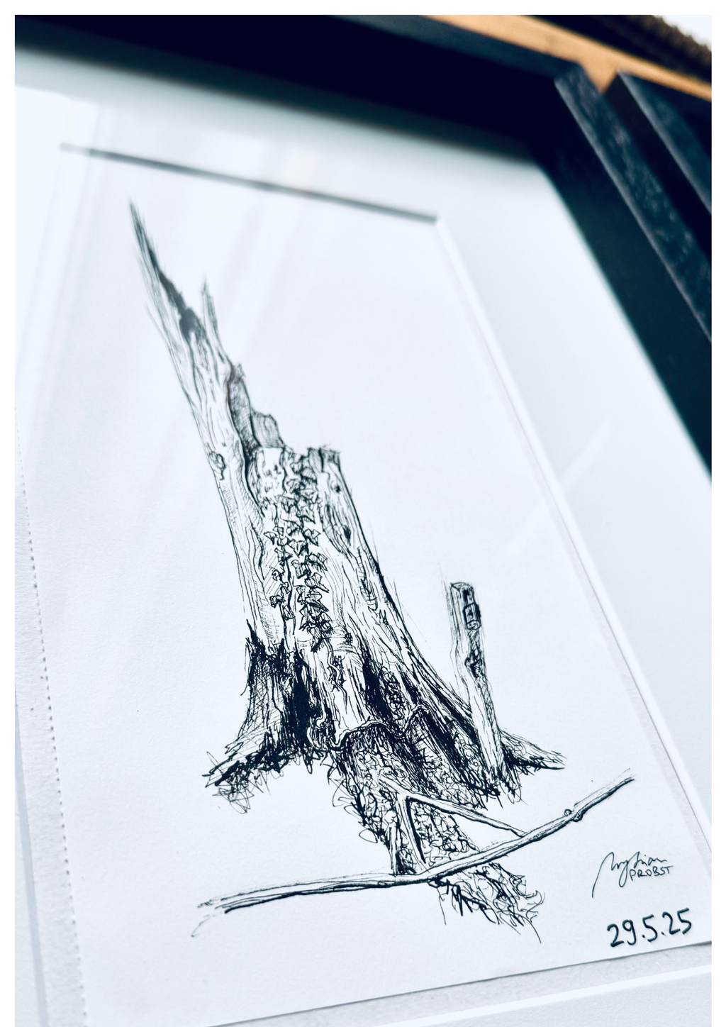 Still Woods „Ivy Afterstorm“ | ORIGINAL Zeichnung im Passepartout-Rahmen