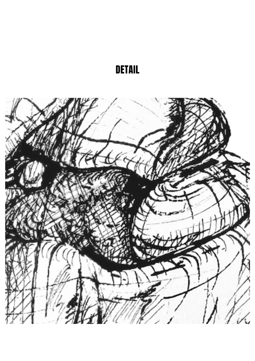 Lily in Lines "First Unfurl - Erstes Entfalten" | Fine-Art-Print