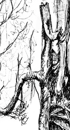 Still Woods „Breathing Hollow - Lebensraum“ | Fine‑Art‑Print