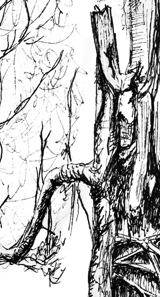 Still Woods „Breathing Hollow - Lebensraum“ | Fine‑Art‑Print