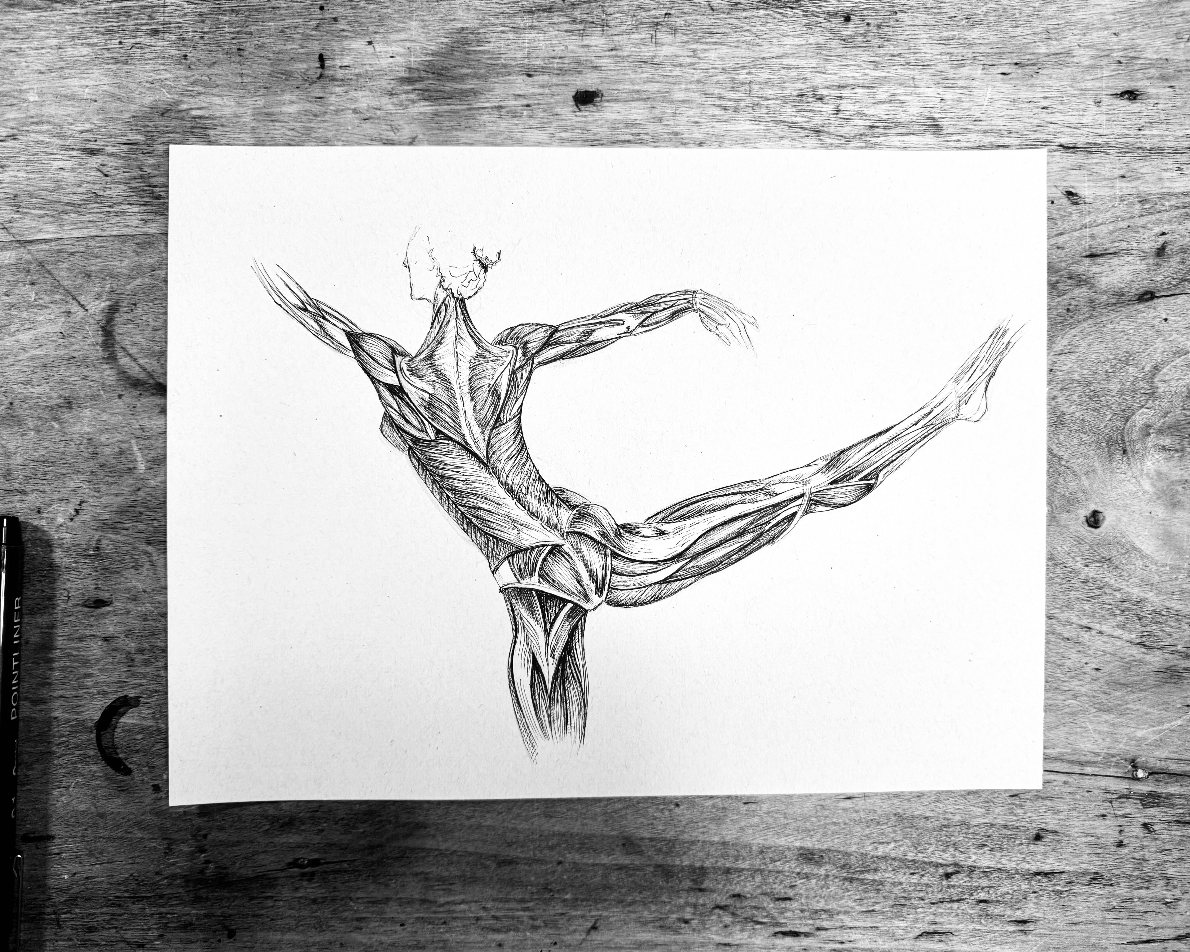 Muscles - Your most beautiful dress [9/31]