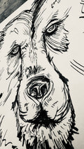 Bär [12/31]