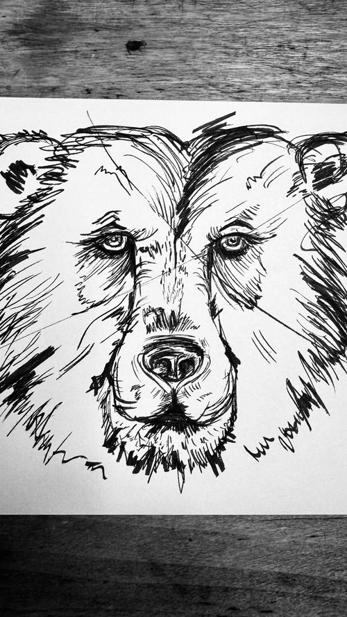 Bär [12/31]