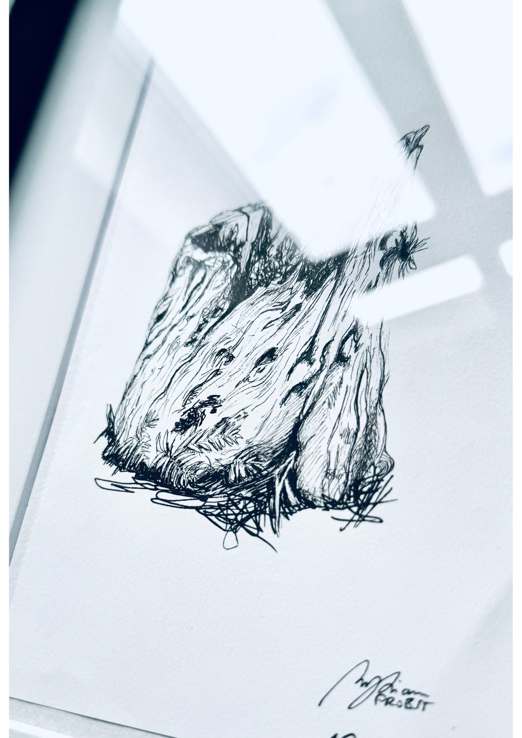 Still Woods "Rooted Silence - Verwurzelte Stille" | ORIGINAL Zeichnung im Passepartout-Rahmen