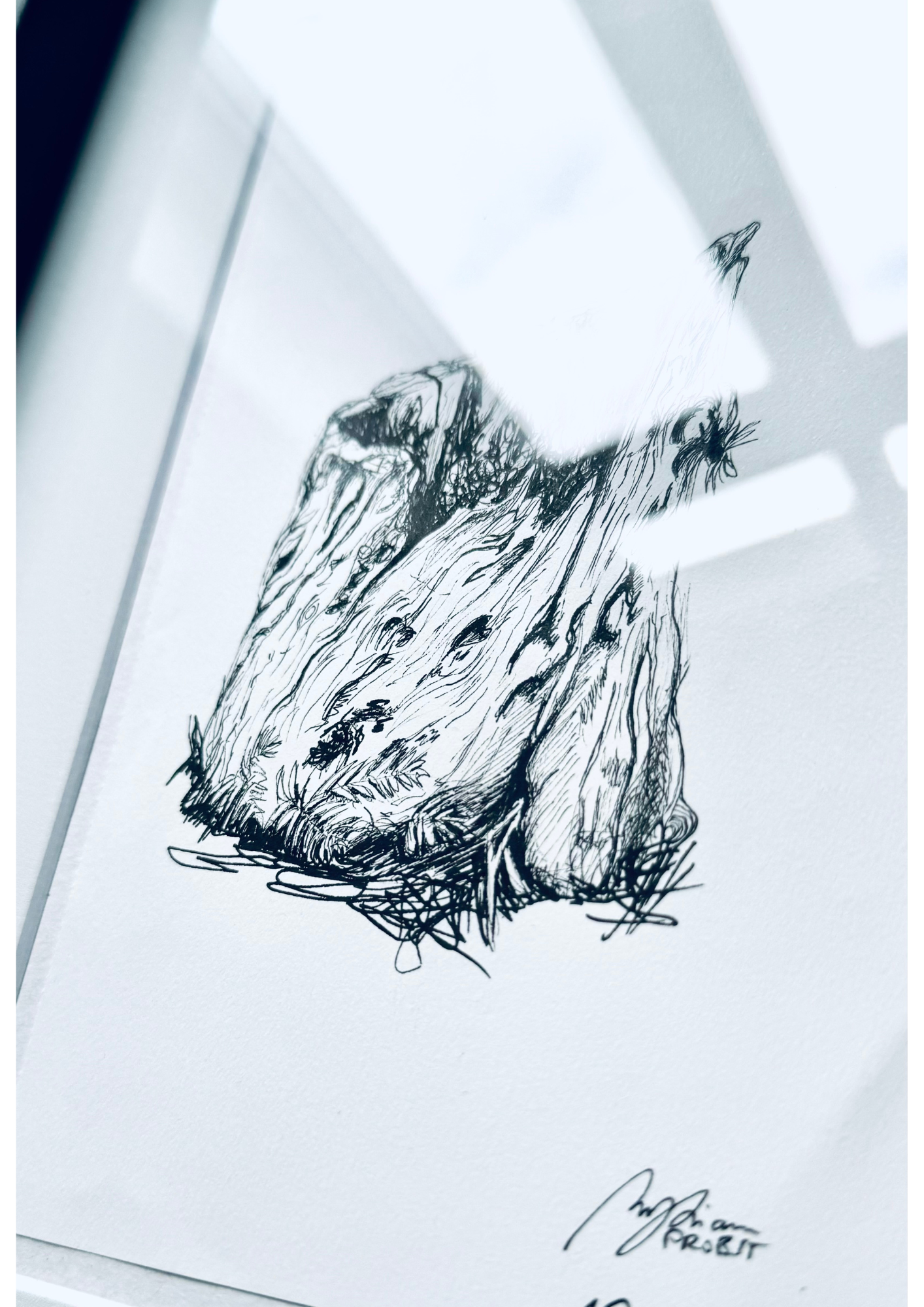 Still Woods "Rooted Silence - Verwurzelte Stille" | ORIGINAL Zeichnung im Passepartout-Rahmen