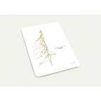 c2b5c4a3-5fb3-4e48-bc23-6f7459e78997