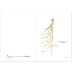 e945331d-b74d-47fc-b11a-adebeea8036d