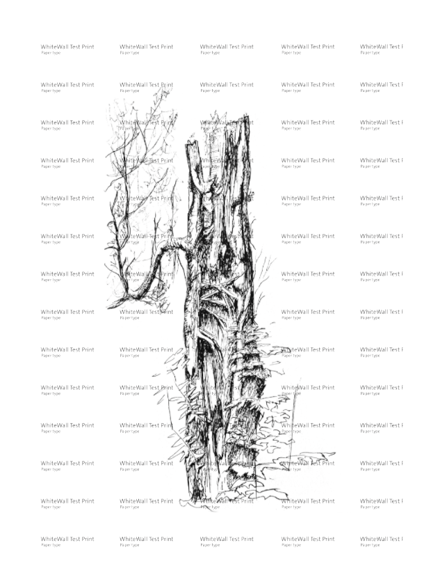 Still Woods „Breathing Hollow“ – Fine‑Art‑Print