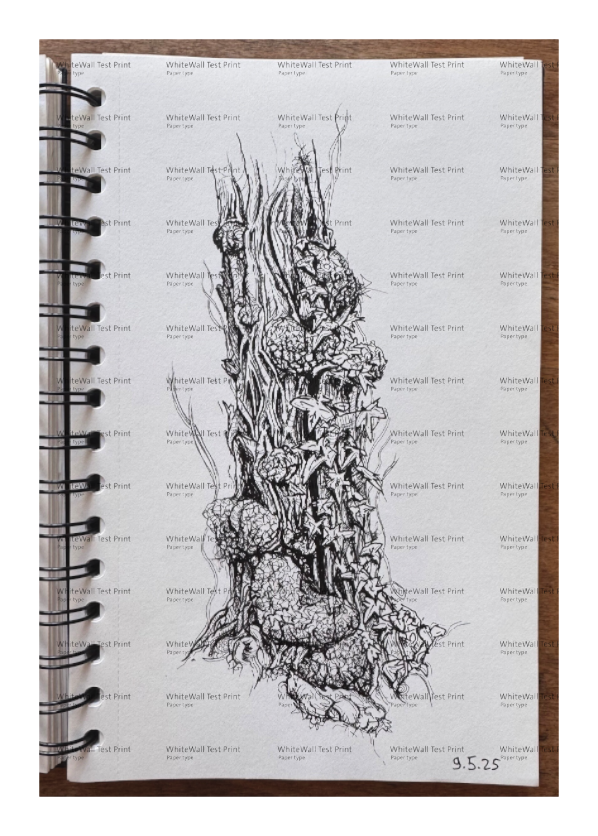 Still Woods „Still Ascent“ – Fine‑Art‑Print