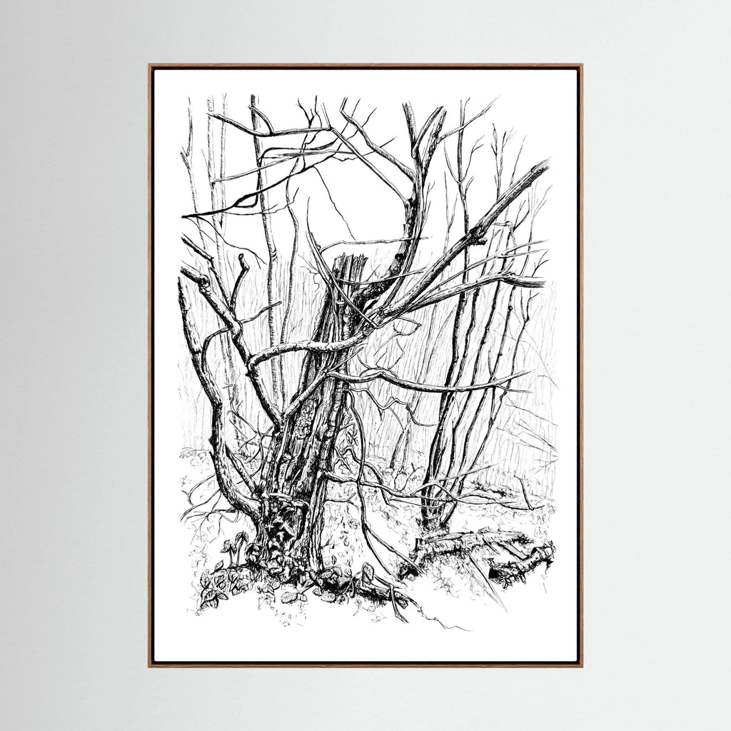 Wald am Drachenfels aus der Serie Still Woods von Myriam Probst als Leinwanddruck