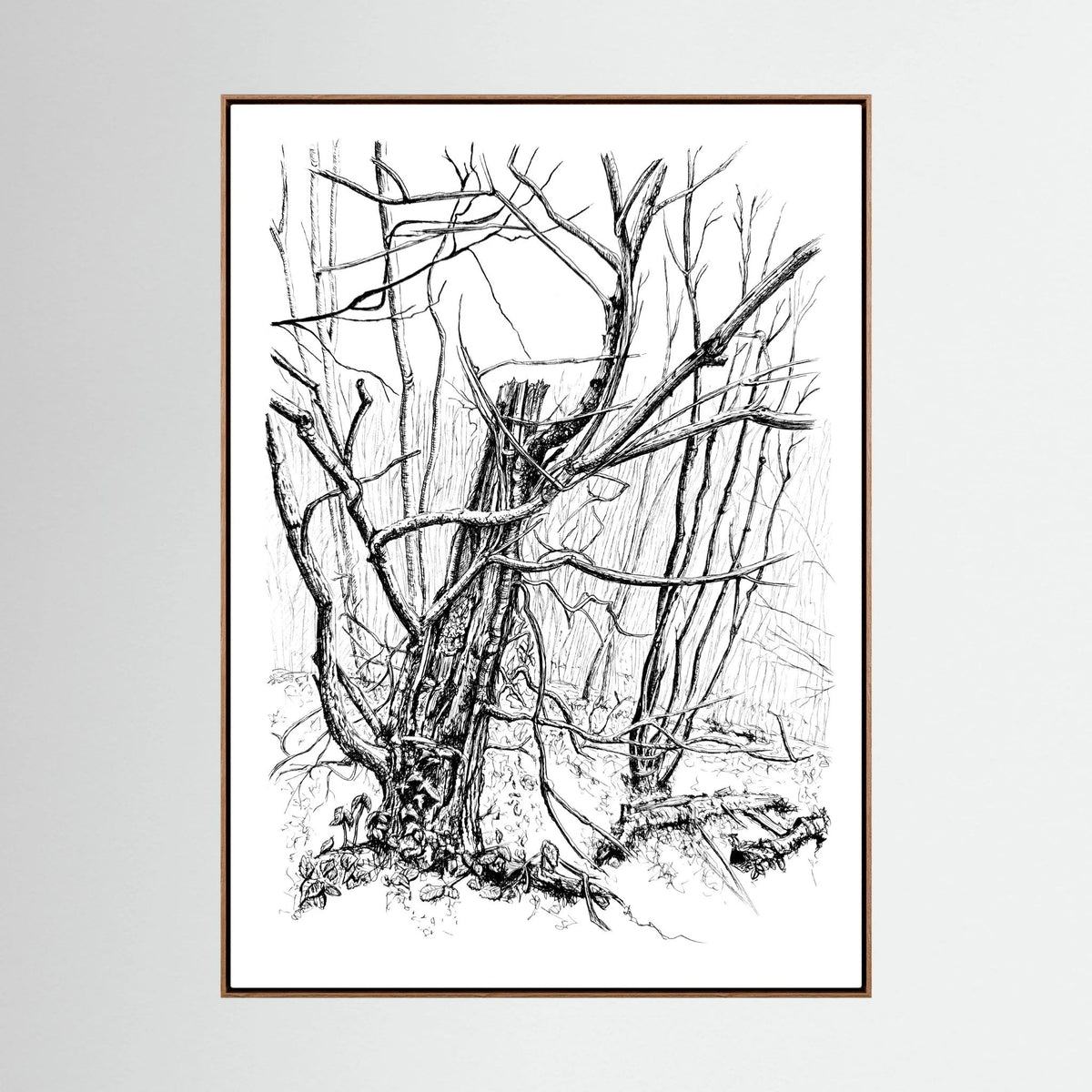Wald am Drachenfels aus der Serie Still Woods von Myriam Probst als Leinwanddruck