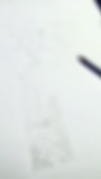 Lily in Lines "Grace Contained" | Fine-Art-Print